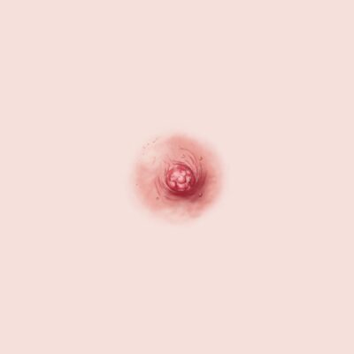 3D Areola tattoo, breast cancer survivor, hyper realism area and nipple tattoo, Scotland, Edinburgh, Glasgow U.K. Canterbury